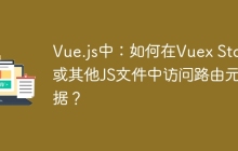 Vue.js中：如何在Vuex Store或其他JS文件中访问路由元数据？