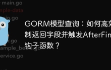 GORM模型查询：如何高效控制返回字段并触发AfterFind钩子函数？
