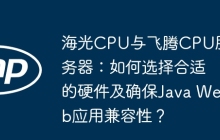 海光CPU与飞腾CPU服务器：如何选择合适的硬件及确保Java Web应用兼容性？