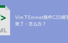 Vim下Emmet插件CSS缩写失效了，怎么办？
