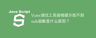 Vuex调试工具报错提示找不到sub函数是什么原因？