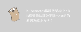 Kubernetes微服务架构中，Iris框架无法获取正确Host名的原因及解决方法？