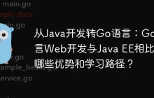 从Java开发转Go语言：Go语言Web开发与Java EE相比有哪些优势和学习路径？