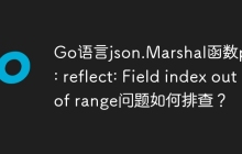 Go语言json.Marshal函数panic: reflect: Field index out of range问题如何排查？