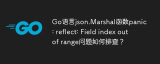 Go语言json.Marshal函数panic: reflect: Field index out of range问题如何排查？