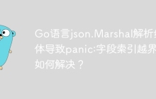Go语言json.Marshal解析结构体导致panic:字段索引越界该如何解决？