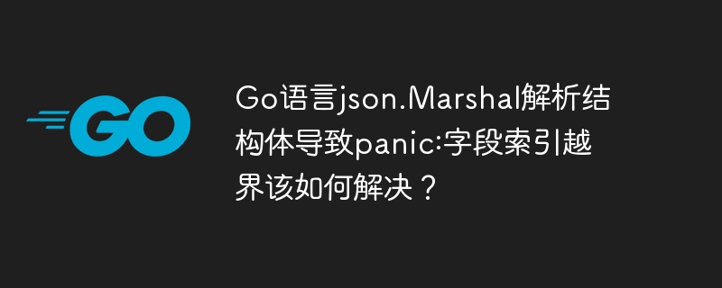 Go语言json.Marshal解析结构体导致panic:字段索引越界该如何解决？