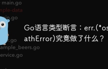 Go语言类型断言：err.(*os.PathError)究竟做了什么？