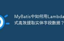 MyBatis中如何用Lambda表达式高效提取实体字段数据？