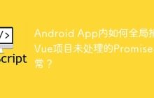 Android App内如何全局捕获Vue项目未处理的Promise异常？