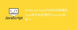 Android App内如何全局捕获Vue项目未处理的Promise异常？