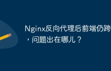 Nginx反向代理后前端仍跨域，问题出在哪儿？