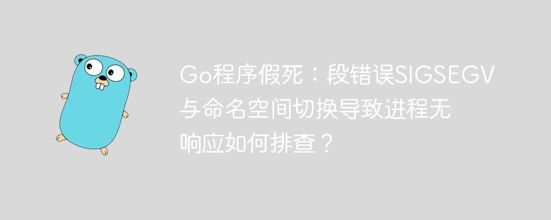 go程序假死：段错误sigsegv与命名空间切换导致进程无响应如何排查？