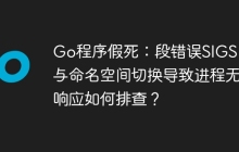Go程序假死：段错误SIGSEGV与命名空间切换导致进程无响应如何排查？