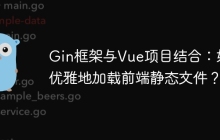 Gin框架与Vue项目结合：如何优雅地加载前端静态文件？