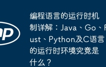编程语言的运行时机制详解：Java、Go、Rust、Python及C语言的运行时环境究竟是什么？