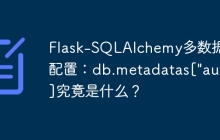 Flask-SQLAlchemy多数据库配置：db.metadatas["auth"]究竟是什么？
