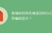 前端如何将后端返回的SVG图形编码显示？