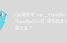 Go语言中`var _ Handler = (*handler)(nil)`语句的含义是什么？
