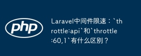 Laravel中间件限速：`throttle:api`和`throttle:60,1`有什么区别？