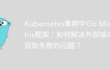 Kubernetes集群中Go Micro与Iris框架：如何解决外部域名获取失败的问题？