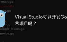 Visual Studio可以开发Go语言项目吗？