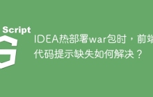 IDEA热部署war包时，前端JS代码提示缺失如何解决？