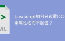 JavaScript如何只设置DOM元素属性名而不赋值？
