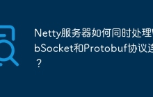 Netty服务器如何同时处理WebSocket和Protobuf协议连接？