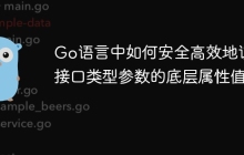 Go语言中如何安全高效地访问接口类型参数的底层属性值？