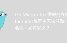 Go Micro + Iris 微服务在Kubernetes集群中无法获取Host名称，如何解决？