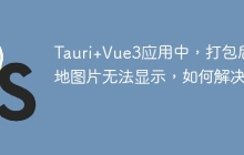 Tauri+Vue3应用中，打包后本地图片无法显示，如何解决？