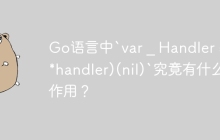 Go语言中`var _ Handler = (*handler)(nil)`究竟有什么作用？