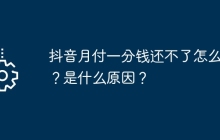 抖音月付一分钱还不了怎么办？是什么原因？