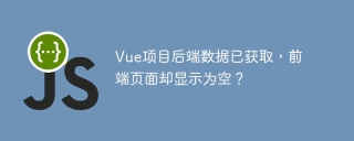 Vue项目后端数据已获取，前端页面却显示为空？