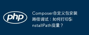 Composer自定义包安装路径调试：如何打印$installPath变量？
