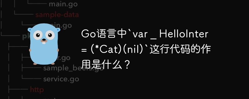 go语言中`var _ hellointer = (*cat)(nil)`这行代码的作用是什么？