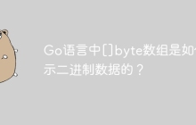 Go语言中[]byte数组是如何表示二进制数据的？