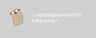 Gin框架分组路由中的花括号究竟有何作用？