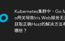Kubernetes集群中，Go Micro网关导致Iris Web服务无法获取正确Host的解决方法有哪些？