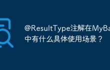 @ResultType注解在MyBatis中有什么具体使用场景？