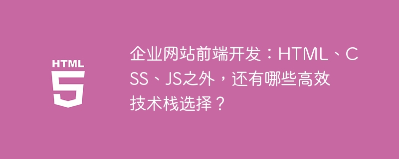 企业网站前端开发：HTML、CSS、JS之外，还有哪些高效技术栈选择？
