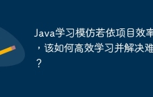 Java学习模仿若依项目效率低，该如何高效学习并解决难题？