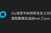 Go语言中如何将自定义切片类型数据发送给net.Conn？