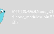 如何可靠地获取Node.js项目中node_modules/.bin目录路径？