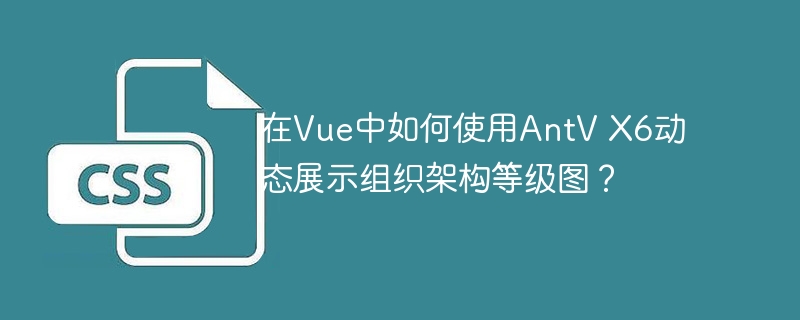 在Vue中如何使用AntV X6动态展示组织架构等级图?