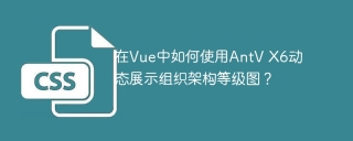 在Vue中如何使用AntV X6动态展示组织架构等级图？