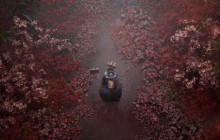 《寂静岭f》PC配置公开 推荐RTX 2080显卡