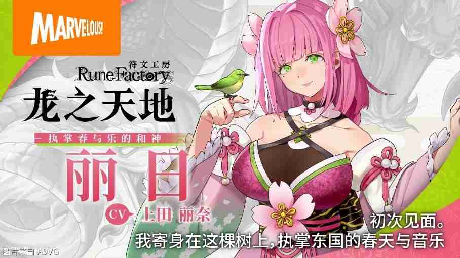 《符文工房 龙之天地》角色介绍影片 村雨与丽日篇
