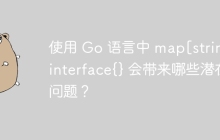 使用 Go 语言中 map[string]interface{} 会带来哪些潜在问题？